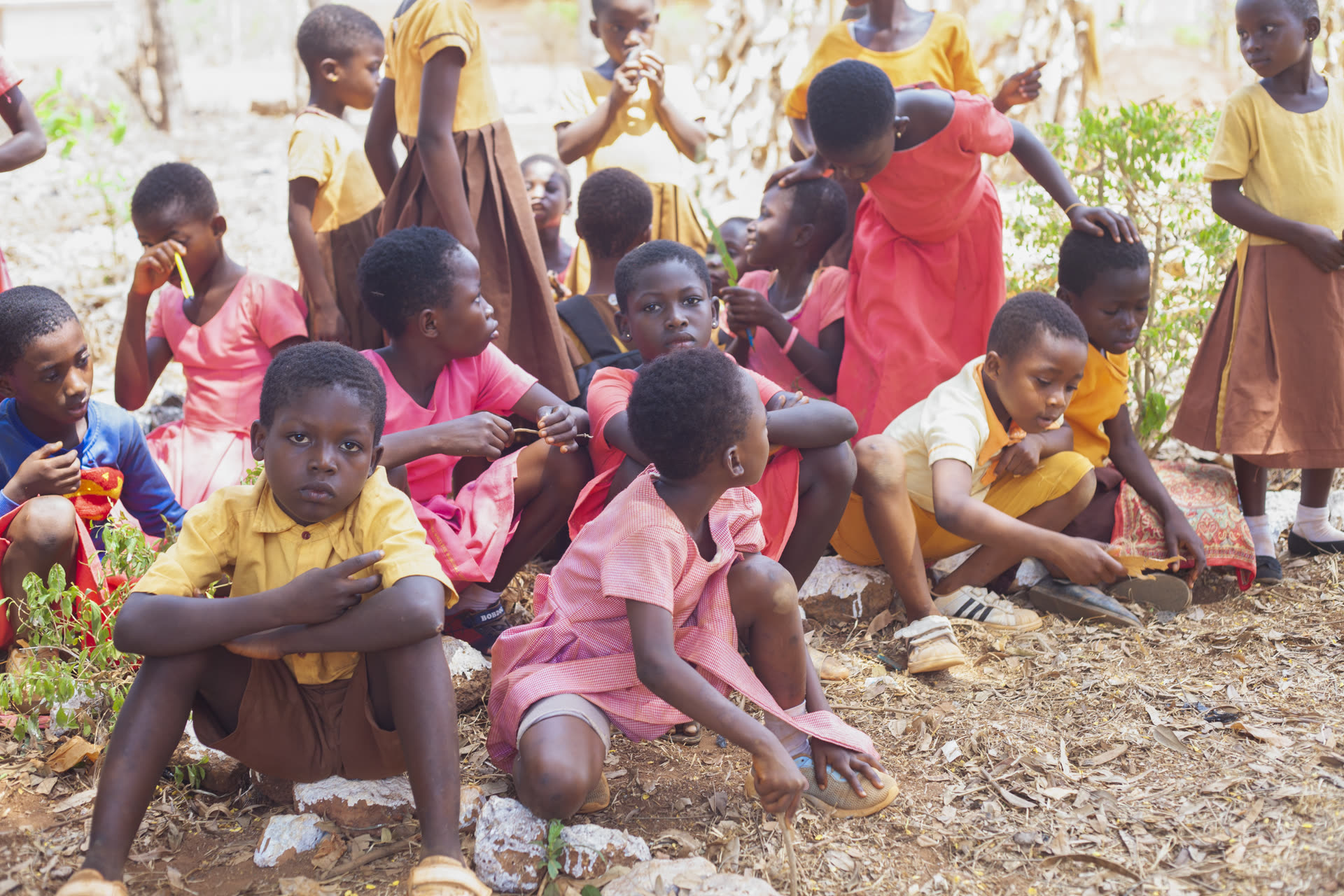 Volunteers in the field